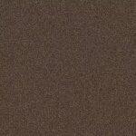 Hickory commercial carpet color sample