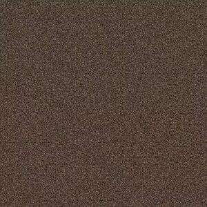 Hickory commercial carpet color sample