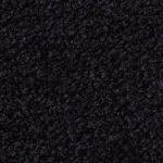 Toro nylon event carpet color sample