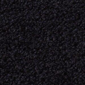Toro nylon event carpet color sample