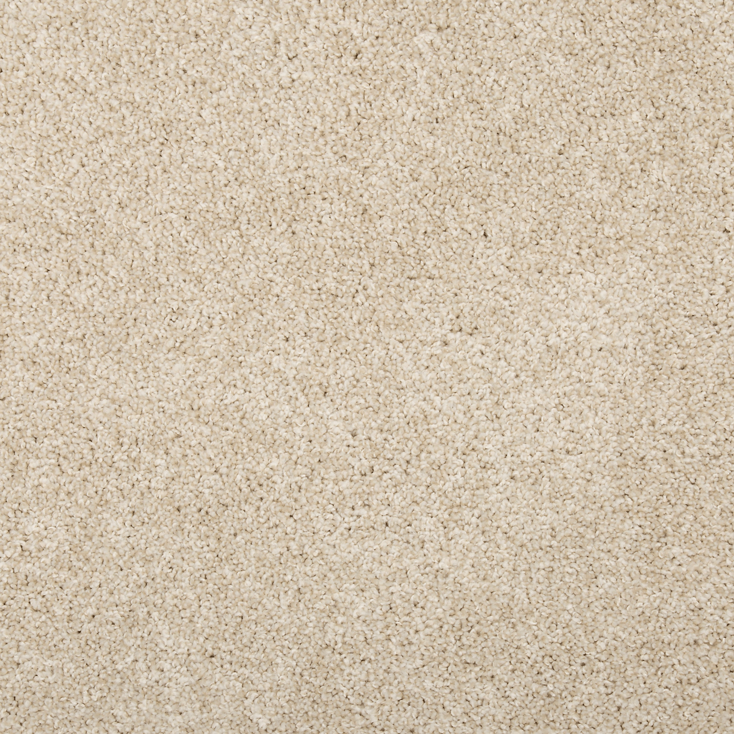 Linen Lace FHA01 carpet color sample