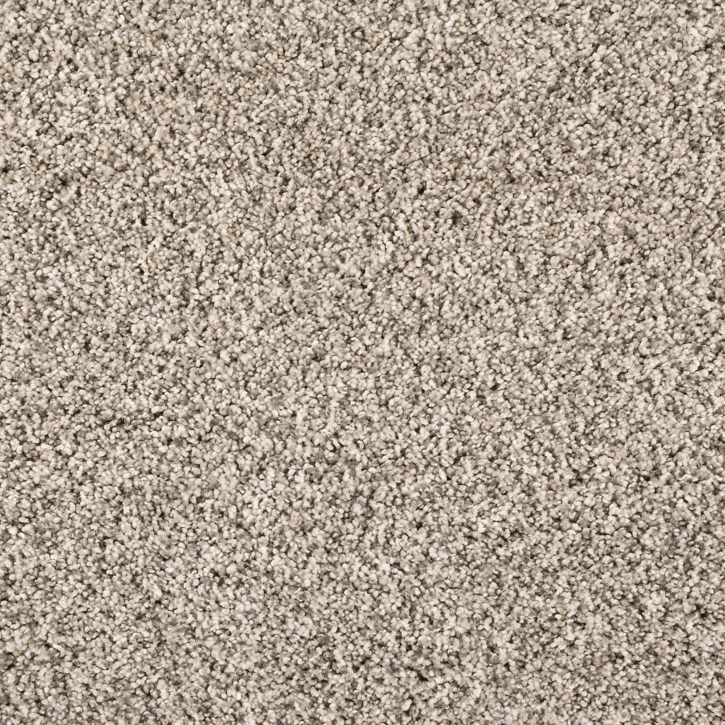 FHA #02 Silver Dollar Carpet