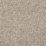 Silver Dollar FHA02 carpet color sample