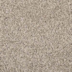 Silver Dollar FHA02 carpet color sample