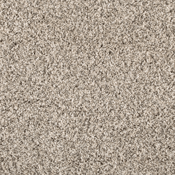Silver Dollar FHA02 carpet color sample