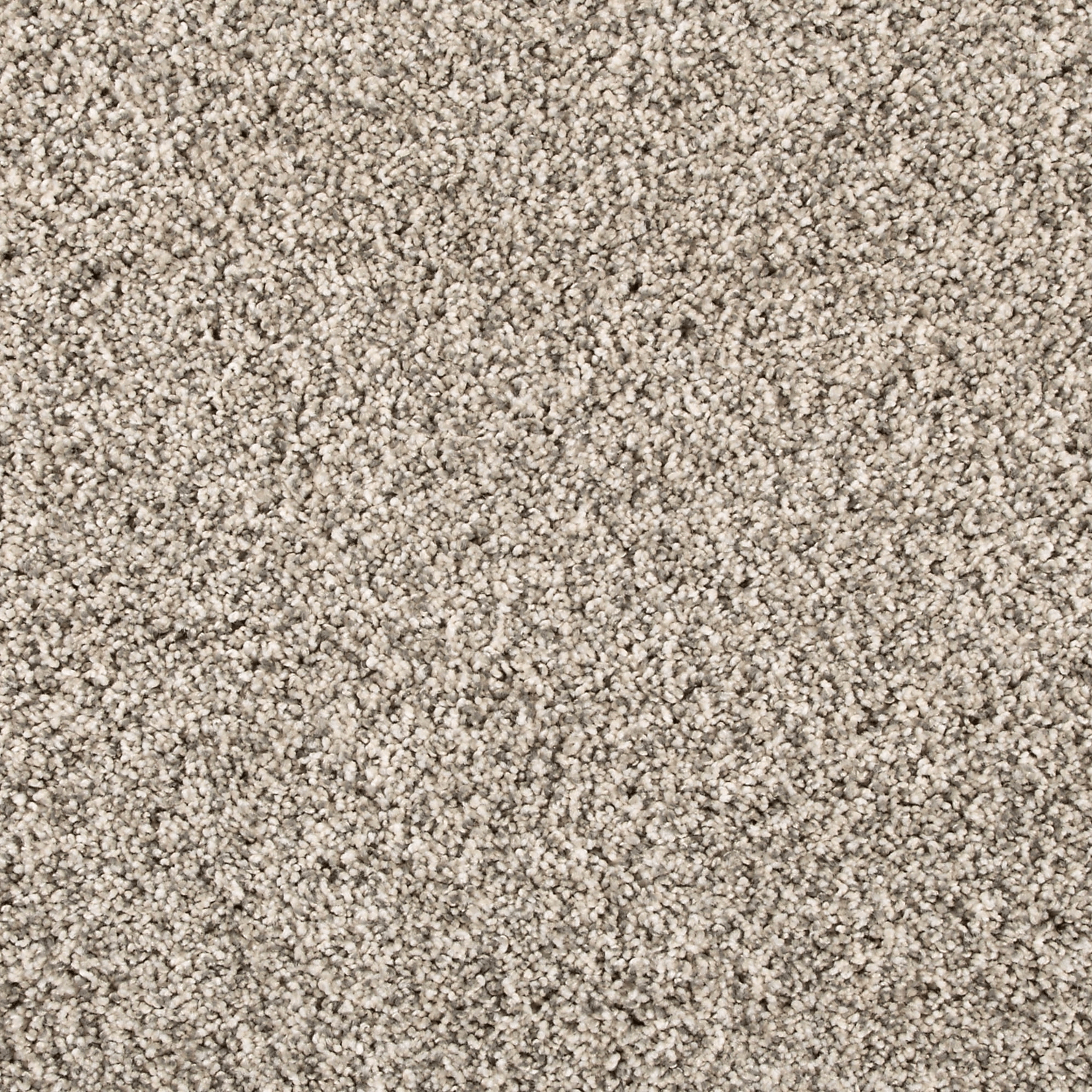 Silver Dollar FHA02 carpet color sample