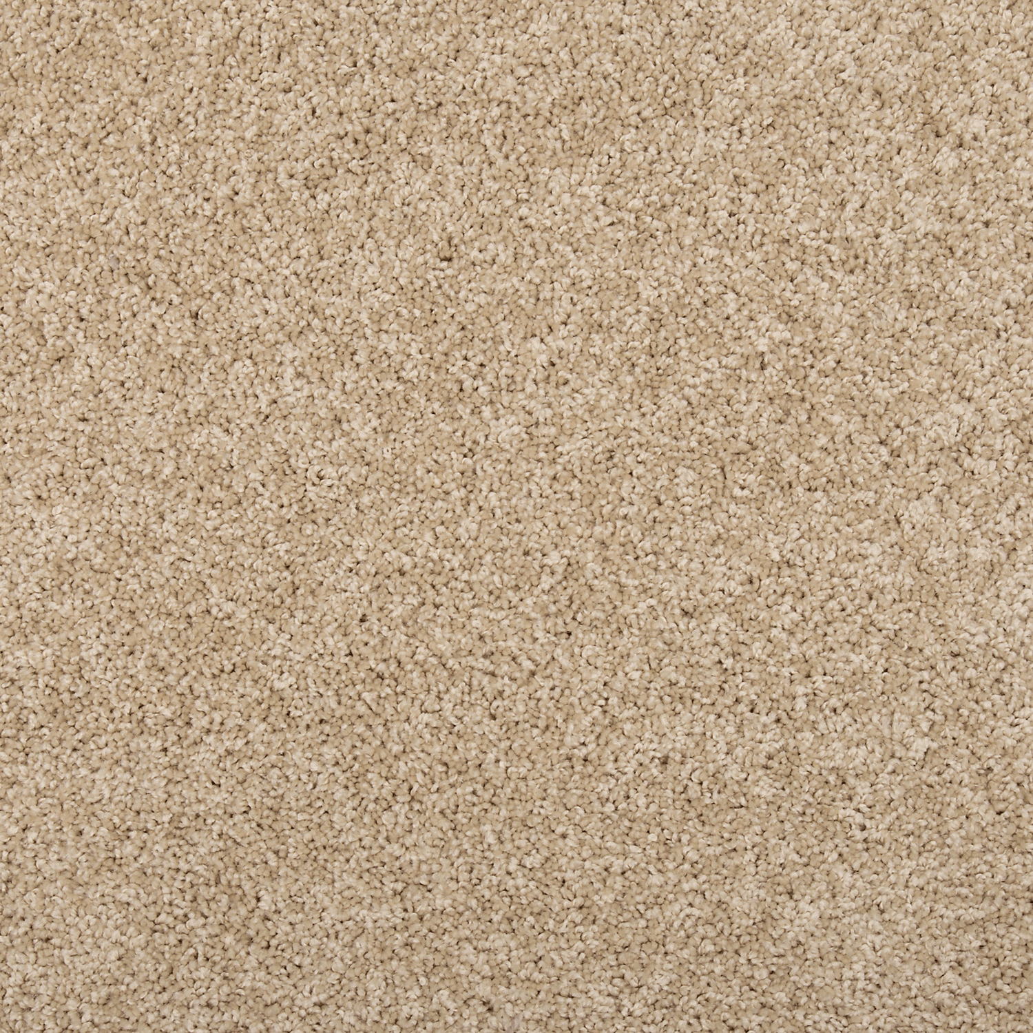 Sugar Cookie FHA05 carpet color sample