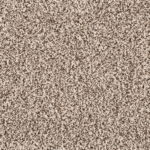 Quiet Light FHA06 carpet color sample