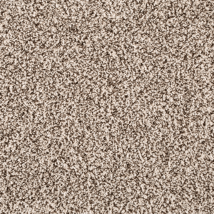 Quiet Light FHA06 carpet color sample