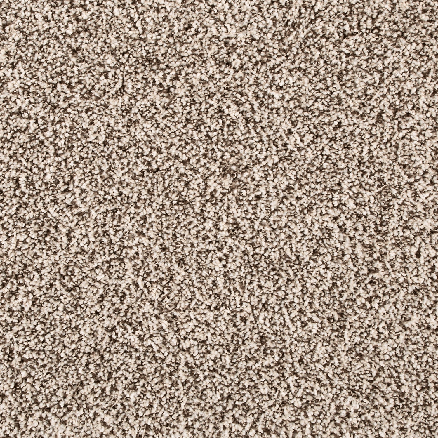 Quiet Light FHA06 carpet color sample