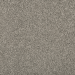 Winter Ash FHA08 carpet color sample