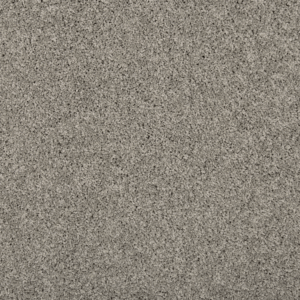 Winter Ash FHA08 carpet color sample