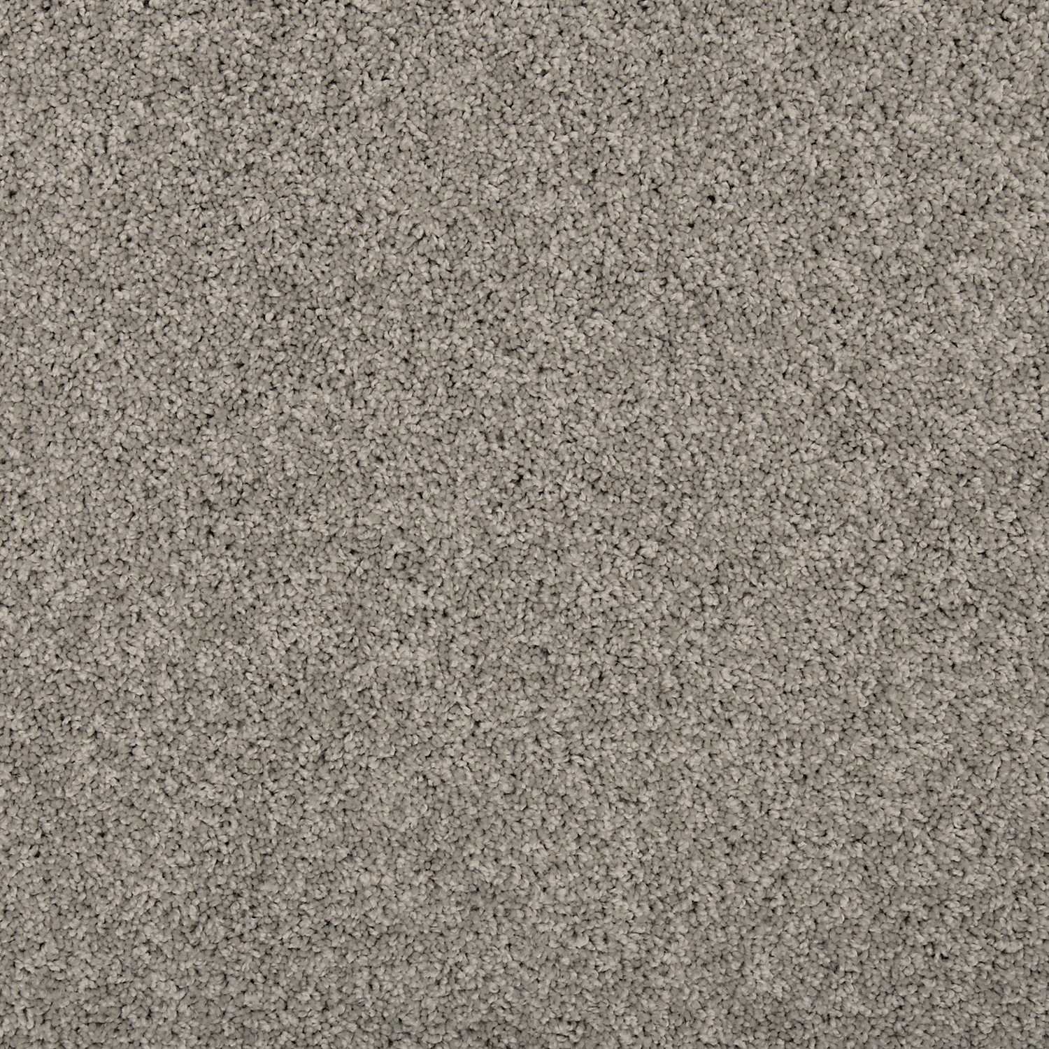 Winter Ash FHA08 carpet color sample