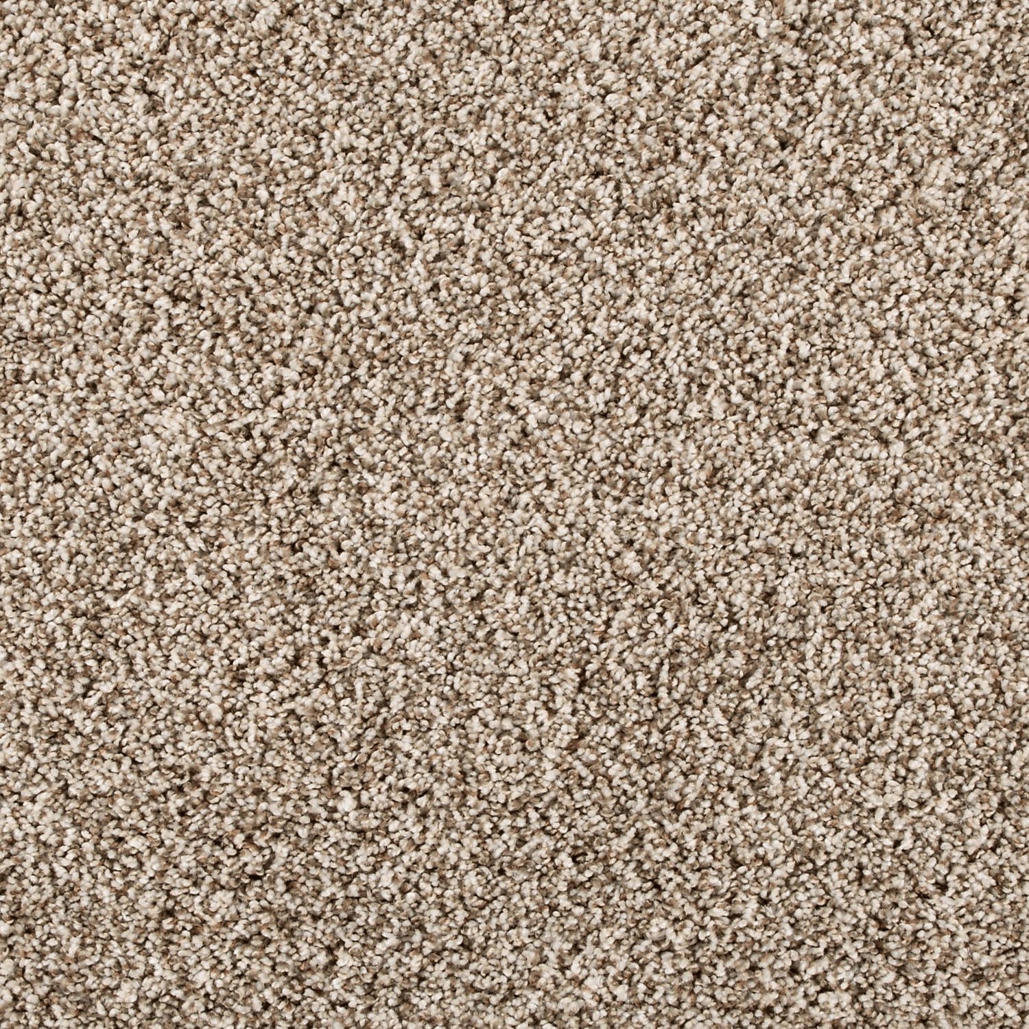 Elk Beige FHA13 carpet color sample