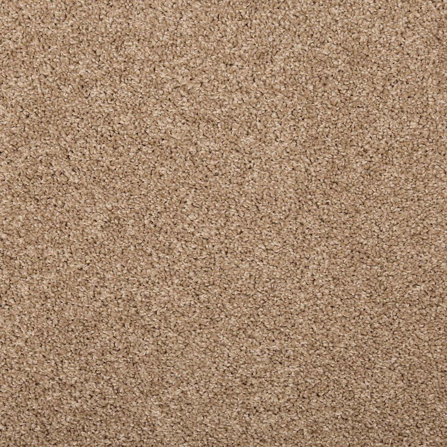 Toffee Cream FHA17 carpet color sample