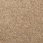 Pretzel Twist FHA18 carpet color sample