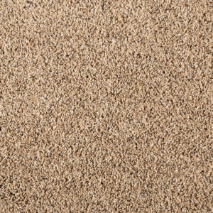 Pretzel Twist FHA18 carpet color sample