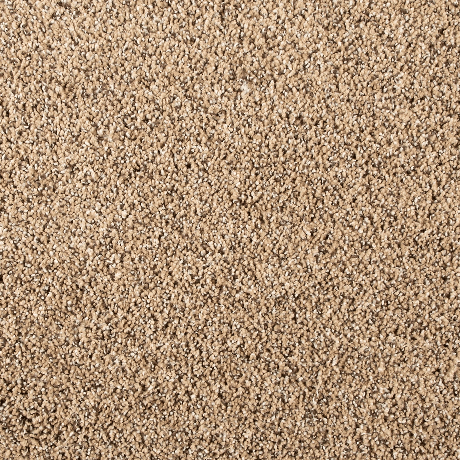 Pretzel Twist FHA18 carpet color sample