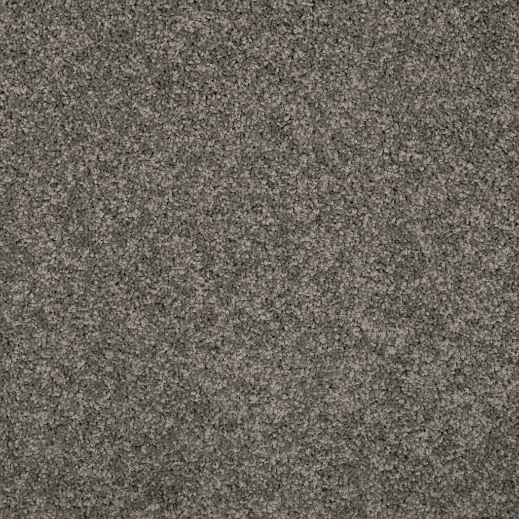 FHA #20 Pewter Carpet