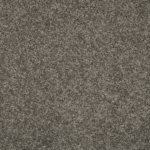 Pewter FHA20 carpet color sample