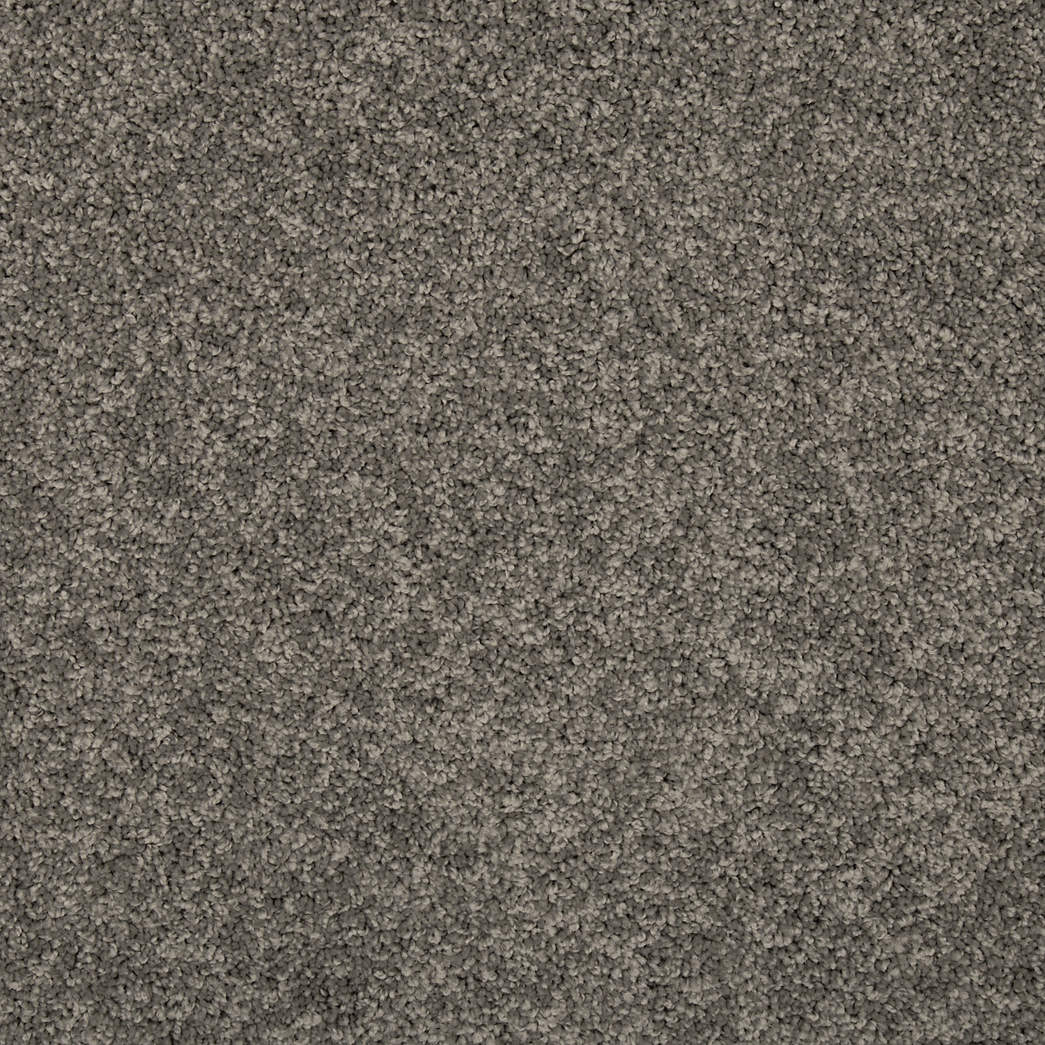 Pewter FHA20 carpet color sample