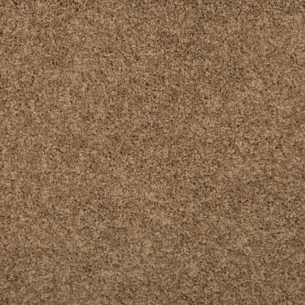 FHA #21 Fowler Carpet