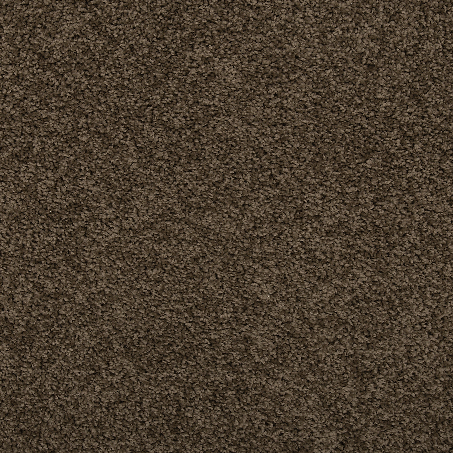 Husk FHA22 carpet color sample