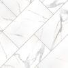Eden Statuary tile product image