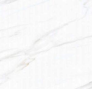 Tile #21991 24 x 48 tile product image