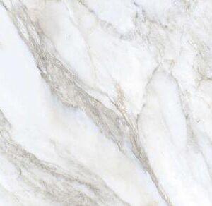 Tile #22207 24 x 48 tile product image