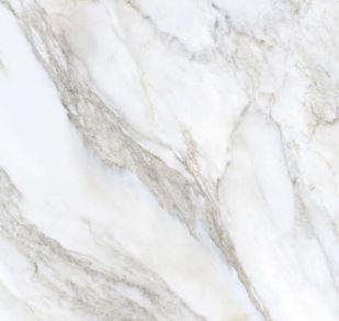 Tile #22207 24 x 48 tile product image