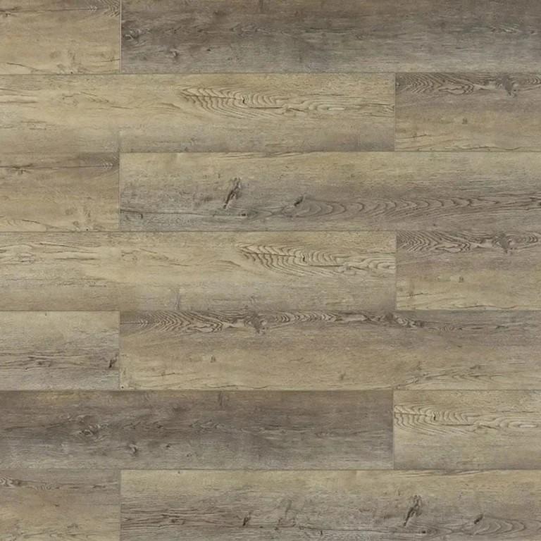 Lemon Pepper Toucan LVP TFSPC-423 product image