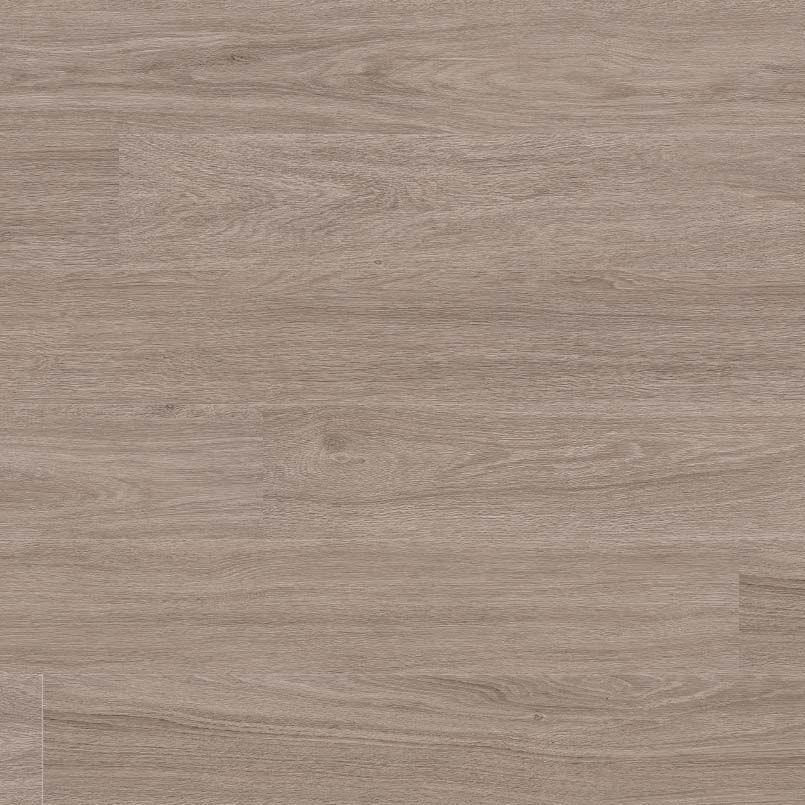 Bleached Elm LVP #1006