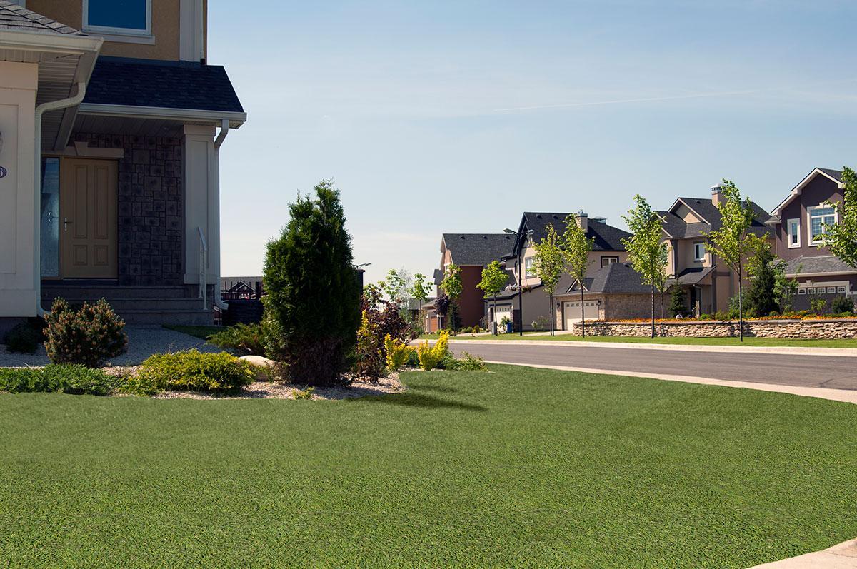 Viridian Green 91oz artificial turf room scene