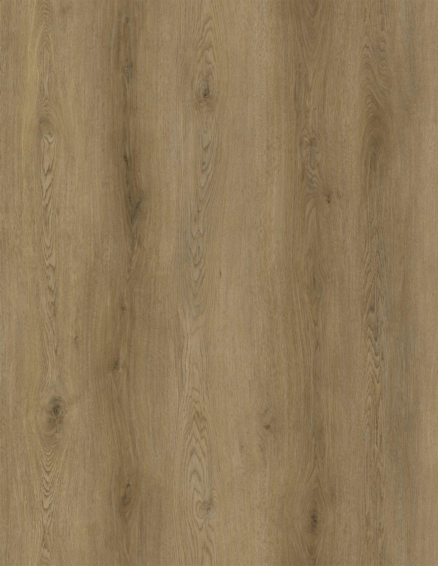 Generosity 8mm 30 mil luxury vinyl plank flooring product image