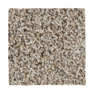 Promo #2 Colonial Carpet