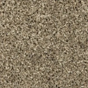 Promo #5 Blended Carpet