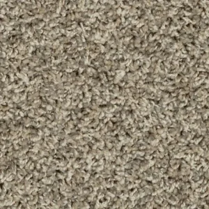 Promo #6 Greige Carpet